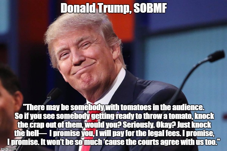 "Donald Trump, SOBMF" | Donald Trump, SOBMF; "There may be somebody with tomatoes in the audience. So if you see somebody getting ready to throw a tomato, knock the crap out of them, would you? Seriously. Okay? Just knock the hell—  I promise you, I will pay for the legal fees. I promise, I promise. It won’t be so much ’cause the courts agree with us too." | image tagged in trump,trump incites violence,beat the crap out of them,deplorable donald,despicable donald,devious donald | made w/ Imgflip meme maker