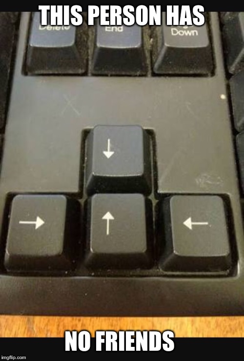 THIS PERSON HAS; NO FRIENDS | image tagged in keyboard,one job | made w/ Imgflip meme maker
