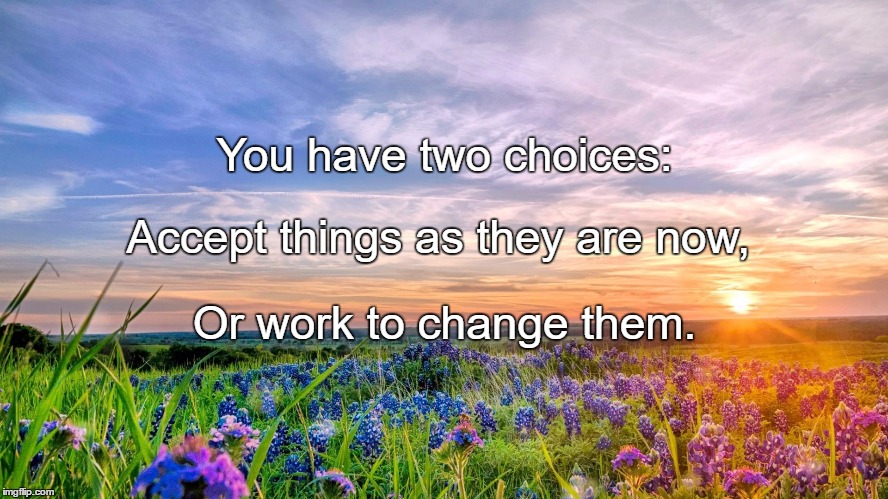 Change | You have two choices:; Accept things as they are now, Or work to change them. | image tagged in change | made w/ Imgflip meme maker