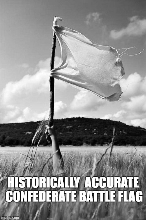Confederate flag | HISTORICALLY  ACCURATE CONFEDERATE BATTLE FLAG | image tagged in confederate flag,confederate battle flag | made w/ Imgflip meme maker