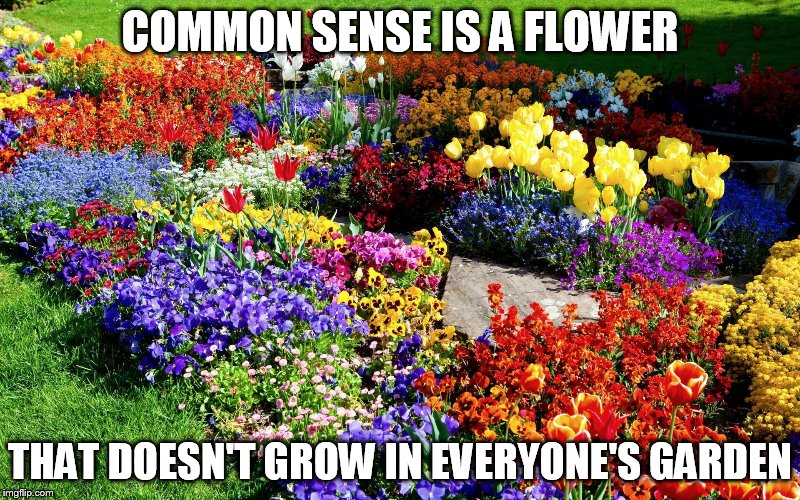 Flower garden  | COMMON SENSE IS A FLOWER; THAT DOESN'T GROW IN EVERYONE'S GARDEN | image tagged in flower garden | made w/ Imgflip meme maker