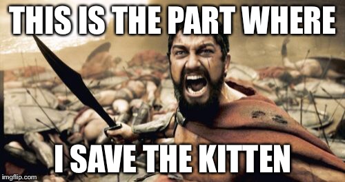 Sparta Leonidas Meme | THIS IS THE PART WHERE I SAVE THE KITTEN | image tagged in memes,sparta leonidas | made w/ Imgflip meme maker