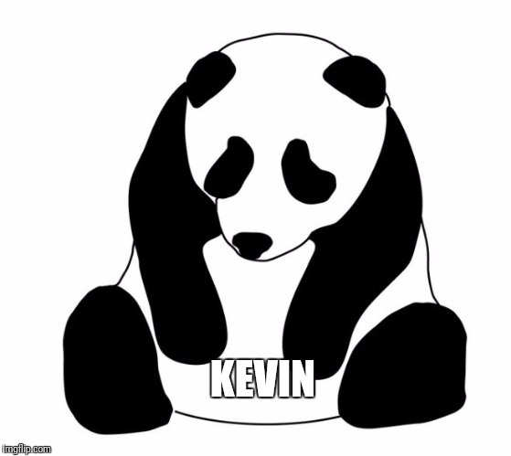 sad panda | KEVIN | image tagged in sad panda | made w/ Imgflip meme maker