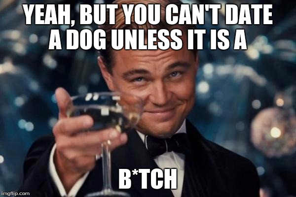 Leonardo Dicaprio Cheers Meme | YEAH, BUT YOU CAN'T DATE A DOG UNLESS IT IS A B*TCH | image tagged in memes,leonardo dicaprio cheers | made w/ Imgflip meme maker