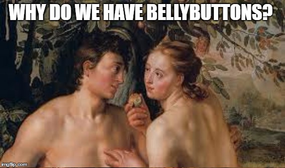 WHY DO WE HAVE BELLYBUTTONS? | made w/ Imgflip meme maker