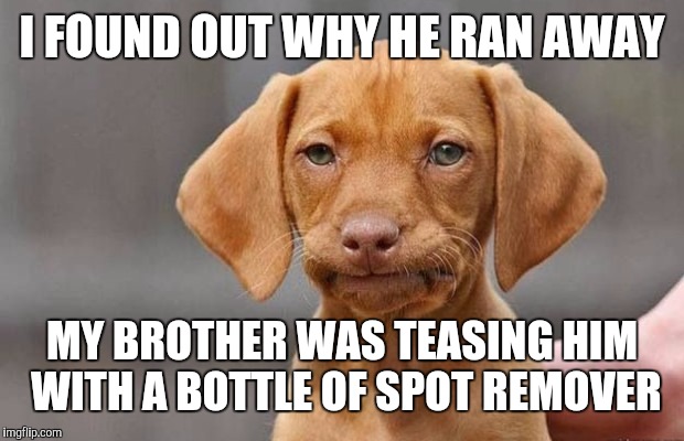 I FOUND OUT WHY HE RAN AWAY MY BROTHER WAS TEASING HIM WITH A BOTTLE OF SPOT REMOVER | made w/ Imgflip meme maker