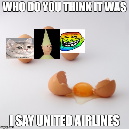 Don't break the eggs! | WHO DO YOU THINK IT WAS; I SAY UNITED AIRLINES | image tagged in don't break the eggs | made w/ Imgflip meme maker