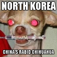 North Korea: China's rabid chihuahua | NORTH KOREA; CHINA'S RABID CHIHUAHUA | image tagged in north korea,kim jong un | made w/ Imgflip meme maker