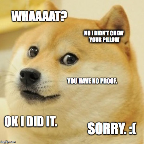 Doge Meme | WHAAAAT? NO I DIDN'T CHEW YOUR PILLOW; YOU HAVE NO PROOF. OK I DID IT. SORRY. :( | image tagged in memes,doge | made w/ Imgflip meme maker