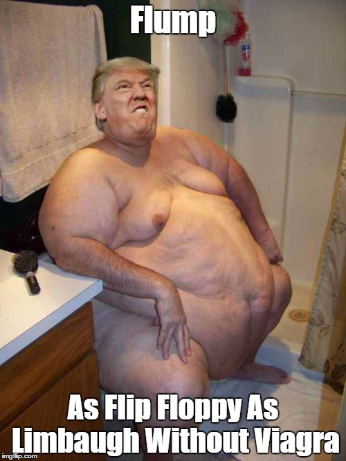 "Flump: As Flip Floppy As Limbaugh Without Viagra" | Flump As Flip Floppy As Limbaugh Without Viagra | image tagged in trump,flump,flip flop,flip floppy,fickle flump | made w/ Imgflip meme maker