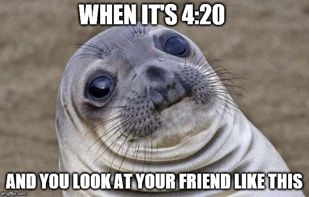 Awkward Moment Sealion | WHEN IT'S 4:20; AND YOU LOOK AT YOUR FRIEND LIKE THIS | image tagged in memes,awkward moment sealion | made w/ Imgflip meme maker