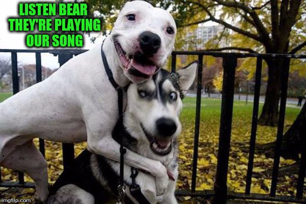 LISTEN BEAR THEY'RE PLAYING OUR SONG | made w/ Imgflip meme maker