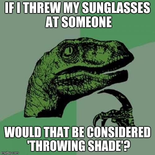 Philosoraptor Meme | IF I THREW MY SUNGLASSES AT SOMEONE; WOULD THAT BE CONSIDERED 'THROWING SHADE'? | image tagged in memes,philosoraptor | made w/ Imgflip meme maker