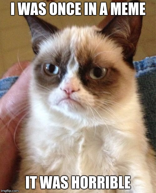 Grumpy Cat Meme | I WAS ONCE IN A MEME; IT WAS HORRIBLE | image tagged in memes,grumpy cat | made w/ Imgflip meme maker