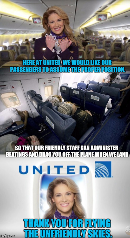United Airlines new policy - Imgflip