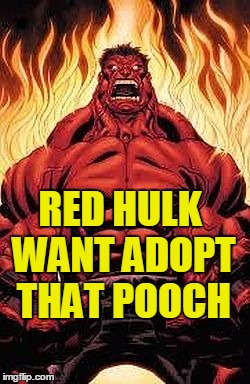 RED HULK WANT ADOPT THAT POOCH | image tagged in red hulk | made w/ Imgflip meme maker