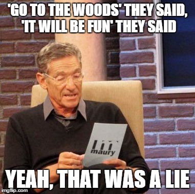 Maury Lie Detector | 'GO TO THE WOODS' THEY SAID, 'IT WILL BE FUN' THEY SAID; YEAH, THAT WAS A LIE | image tagged in memes,maury lie detector | made w/ Imgflip meme maker