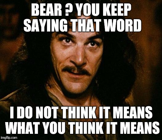 Inigo Montoya Meme | BEAR ? YOU KEEP SAYING THAT WORD; I DO NOT THINK IT MEANS WHAT YOU THINK IT MEANS | image tagged in memes,inigo montoya | made w/ Imgflip meme maker