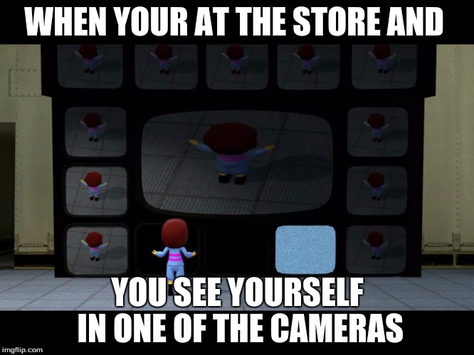 Undertale | WHEN YOUR AT THE STORE AND; YOU SEE YOURSELF IN ONE OF THE CAMERAS | image tagged in undertale | made w/ Imgflip meme maker