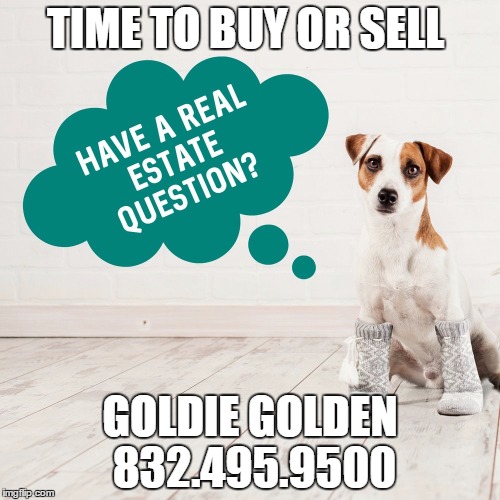 TIME TO BUY OR SELL; GOLDIE GOLDEN 832.495.9500 | made w/ Imgflip meme maker