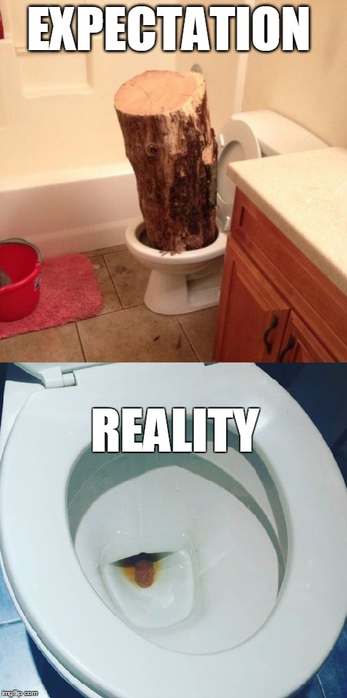 When your constipated | EXPECTATION; REALITY | image tagged in expectation vs reality,constipation,funny | made w/ Imgflip meme maker