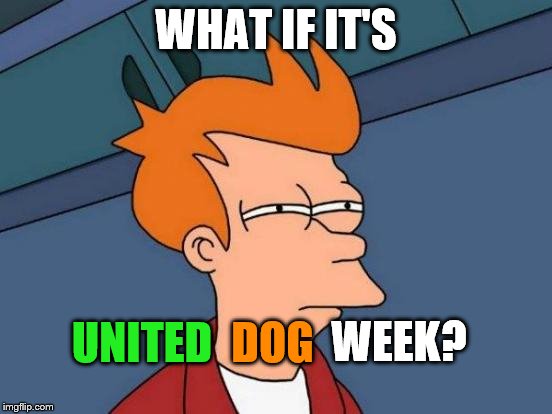 WHAT IF IT'S UNITED DOG WEEK? | image tagged in memes,futurama fry | made w/ Imgflip meme maker