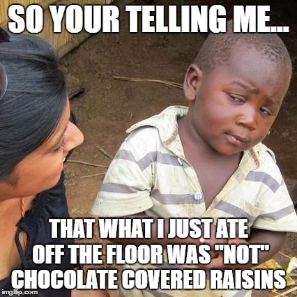 Third World Skeptical Kid | SO YOUR TELLING ME... THAT WHAT I JUST ATE OFF THE FLOOR WAS "NOT" CHOCOLATE COVERED RAISINS | image tagged in memes,third world skeptical kid | made w/ Imgflip meme maker