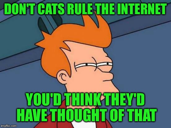 Futurama Fry Meme | DON'T CATS RULE THE INTERNET YOU'D THINK THEY'D HAVE THOUGHT OF THAT | image tagged in memes,futurama fry | made w/ Imgflip meme maker