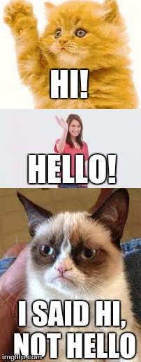 sorry i couldn't find same size images or same color cats | HI! HELLO! I SAID HI, NOT HELLO | image tagged in hi,hello,cats | made w/ Imgflip meme maker