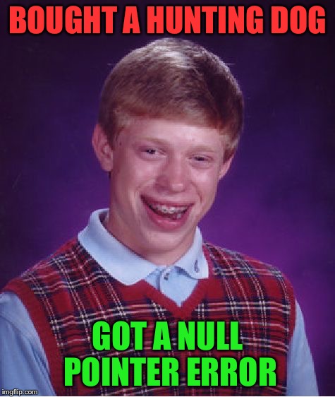 Bad Luck Brian Meme | BOUGHT A HUNTING DOG GOT A NULL POINTER ERROR | image tagged in memes,bad luck brian | made w/ Imgflip meme maker