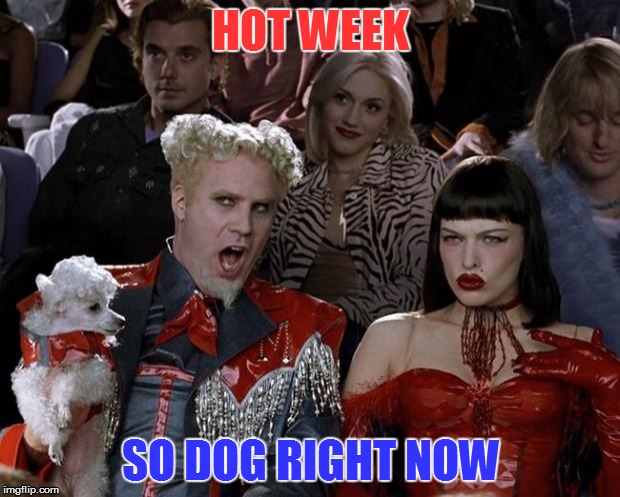 Mugatu So Hot Right Now Meme | HOT WEEK SO DOG RIGHT NOW | image tagged in memes,mugatu so hot right now | made w/ Imgflip meme maker