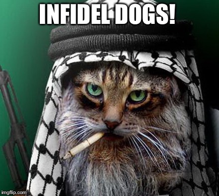 Sarcastic Terrorist Cat | INFIDEL DOGS! | image tagged in sarcastic terrorist cat | made w/ Imgflip meme maker