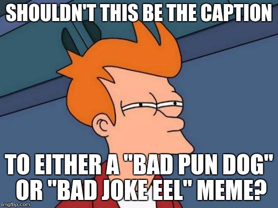 Futurama Fry Meme | SHOULDN'T THIS BE THE CAPTION TO EITHER A "BAD PUN DOG" OR "BAD JOKE EEL" MEME? | image tagged in memes,futurama fry | made w/ Imgflip meme maker