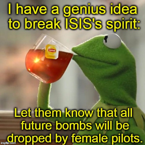 But That's None Of My Business |  I have a genius idea to break ISIS's spirit:; Let them know that all future bombs will be dropped by female pilots. | image tagged in memes,but thats none of my business,kermit the frog,isis,muslims,terrorists | made w/ Imgflip meme maker