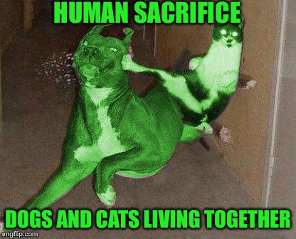 RayCat kicking RayDog | HUMAN SACRIFICE DOGS AND CATS LIVING TOGETHER | image tagged in raycat kicking raydog | made w/ Imgflip meme maker