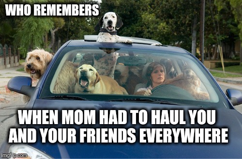 It was always so embarrassing until one of the gang got their license  | WHO REMEMBERS; WHEN MOM HAD TO HAUL YOU AND YOUR FRIENDS EVERYWHERE | image tagged in dog week,mom's taxi | made w/ Imgflip meme maker