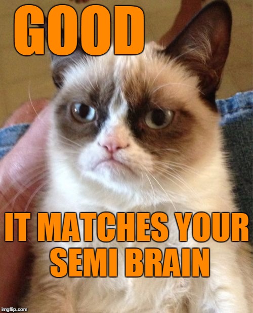 Grumpy Cat Meme | GOOD IT MATCHES YOUR SEMI BRAIN | image tagged in memes,grumpy cat | made w/ Imgflip meme maker