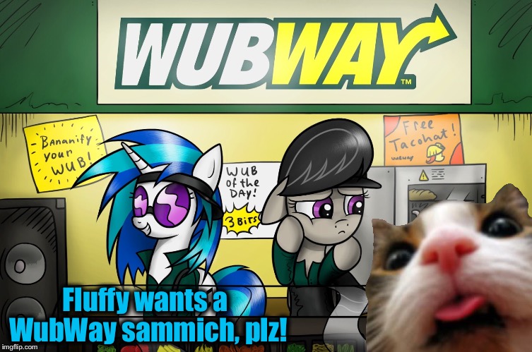 Fluffy wants a WubWay sammich, plz! | made w/ Imgflip meme maker