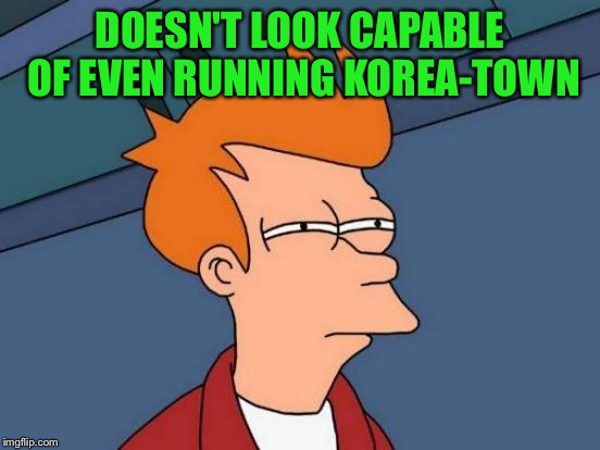 Futurama Fry Meme | DOESN'T LOOK CAPABLE OF EVEN RUNNING KOREA-TOWN | image tagged in memes,futurama fry | made w/ Imgflip meme maker