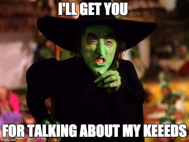 wicked witch  | I'LL GET YOU; FOR TALKING ABOUT MY KEEEDS | image tagged in wicked witch | made w/ Imgflip meme maker