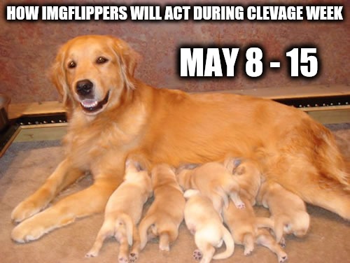 Tongue prints. Tongue prints on monitor screens everywhere. Dog Week slips into Cleavage Week | HOW IMGFLIPPERS WILL ACT DURING CLEVAGE WEEK; MAY 8 - 15 | image tagged in dog week,cleavage werk,promo | made w/ Imgflip meme maker