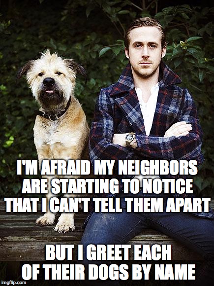 Ryan Gosling dog | I'M AFRAID MY NEIGHBORS ARE STARTING TO NOTICE THAT I CAN'T TELL THEM APART; BUT I GREET EACH OF THEIR DOGS BY NAME | image tagged in ryan gosling dog | made w/ Imgflip meme maker