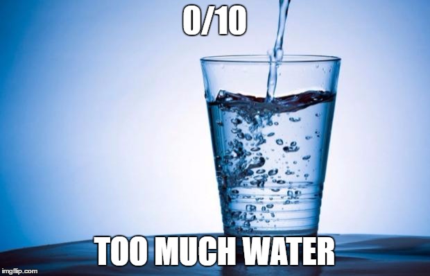 Water | 0/10; TOO MUCH WATER | image tagged in water | made w/ Imgflip meme maker