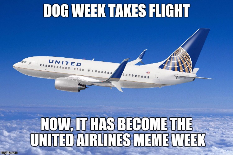 United Airlines week  |  DOG WEEK TAKES FLIGHT; NOW, IT HAS BECOME THE UNITED AIRLINES MEME WEEK | image tagged in united airlines | made w/ Imgflip meme maker