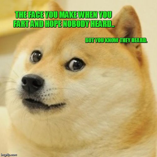 Doge Meme |  THE FACE YOU MAKE WHEN YOU FART AND HOPE NOBODY HEARD.. BUT YOU KNOW THEY HEARD. | image tagged in memes,doge | made w/ Imgflip meme maker