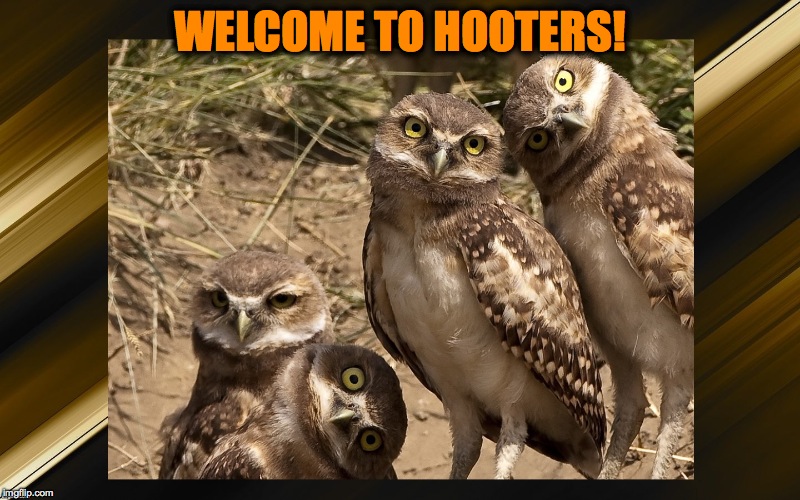 Welcome | WELCOME TO HOOTERS! | image tagged in hooters | made w/ Imgflip meme maker