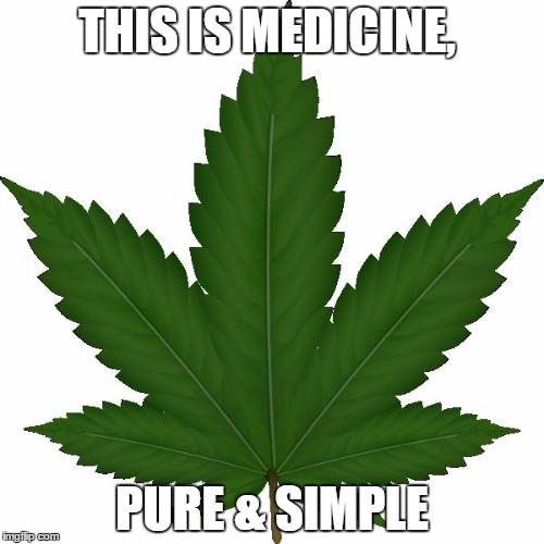 weed | THIS IS MEDICINE, PURE & SIMPLE | image tagged in weed | made w/ Imgflip meme maker