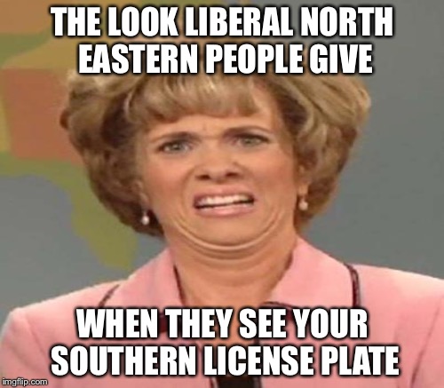 THE LOOK LIBERAL NORTH EASTERN PEOPLE GIVE; WHEN THEY SEE YOUR SOUTHERN LICENSE PLATE | image tagged in memes | made w/ Imgflip meme maker