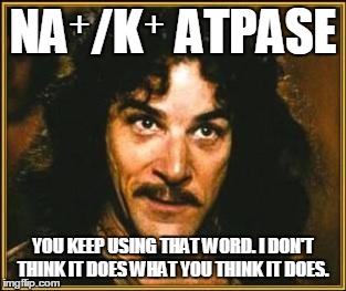 princess bride | NA⁺/K⁺ ATPASE; YOU KEEP USING THAT WORD. I DON'T THINK IT DOES WHAT YOU THINK IT DOES. | image tagged in princess bride | made w/ Imgflip meme maker