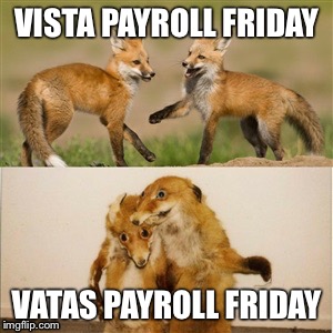 Party Fox | VISTA PAYROLL FRIDAY; VATAS PAYROLL FRIDAY | image tagged in party fox | made w/ Imgflip meme maker